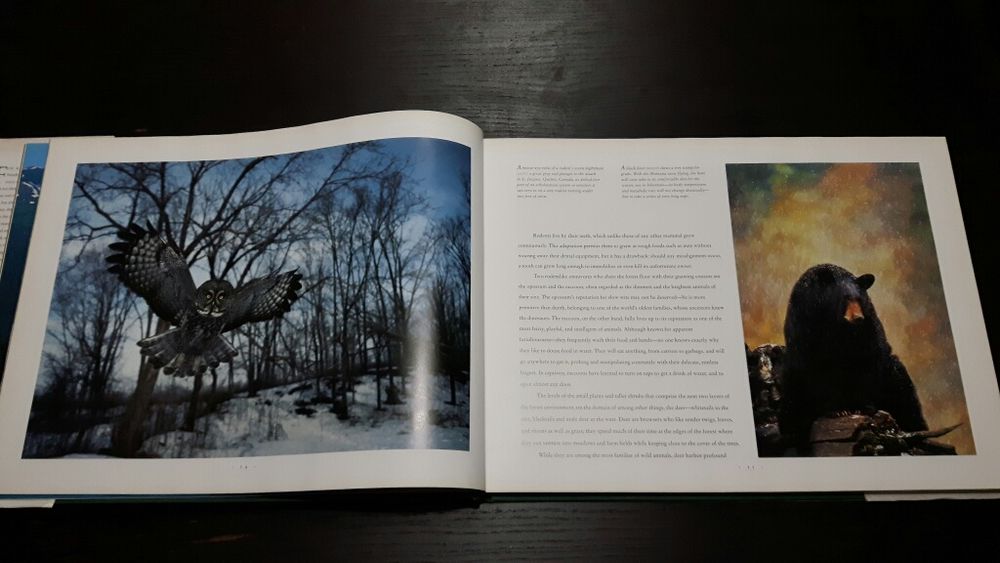 Livro de fotografias a vida selvagem
