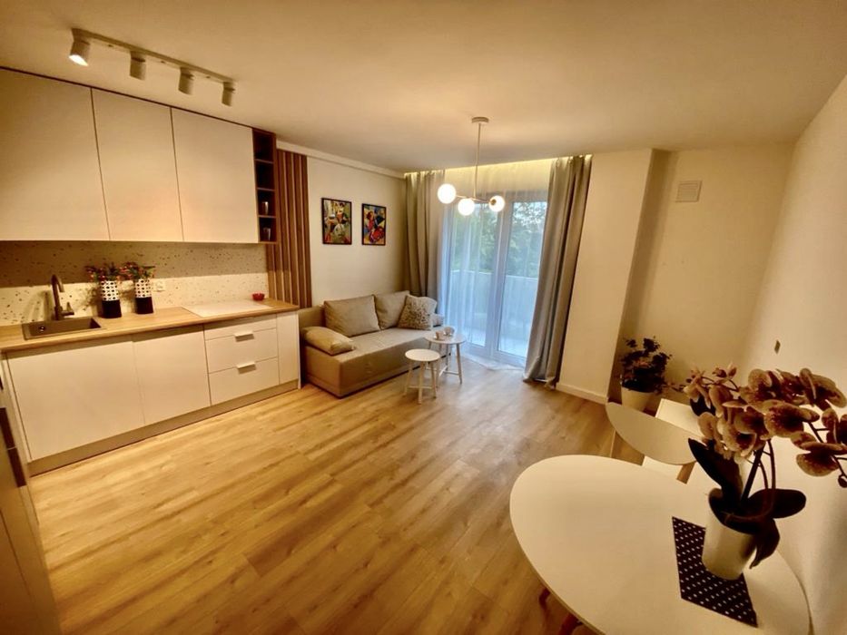 Wynajmę apartament mieszkanie   28 m2 Sosnowiec Klimontowska 45 z miejscem parkingowym