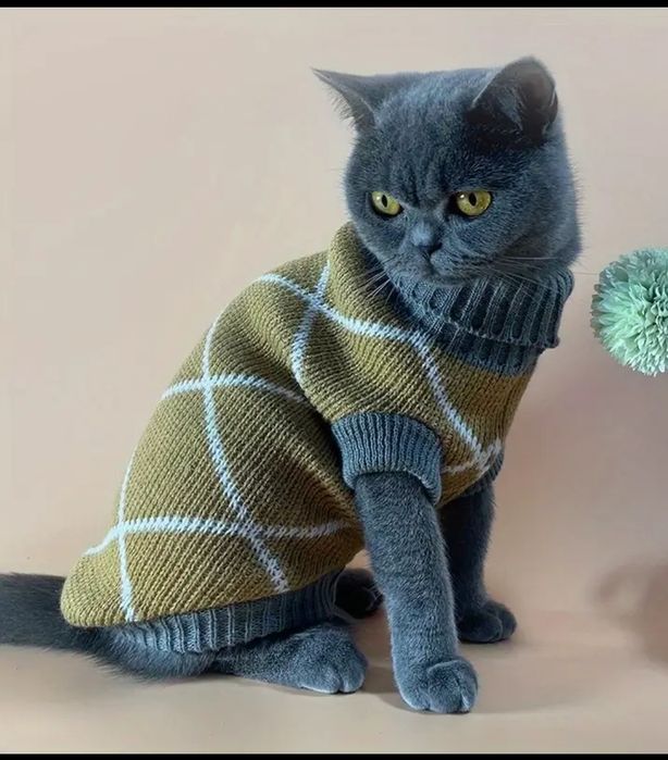 Одежда для котика