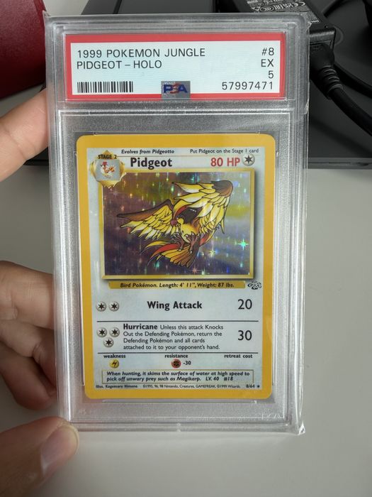 Carta pokemon graded Pidgeot holo jungle