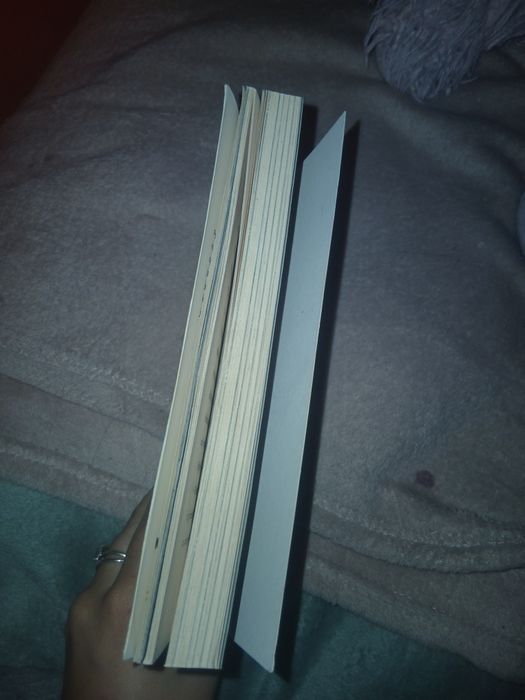 Novela heartstopper