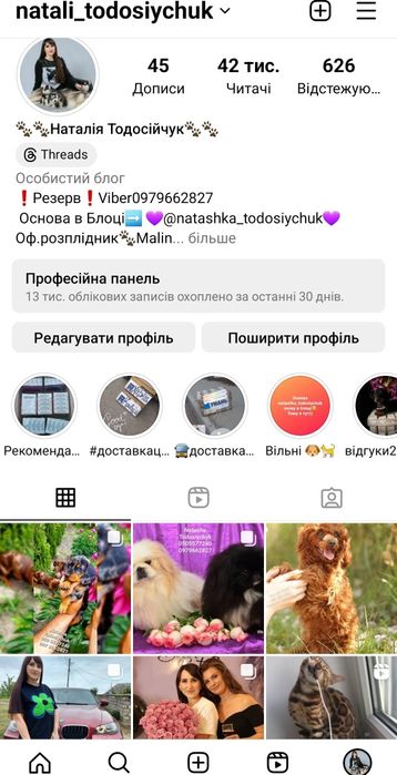 Класнючі бенгальські кошенята