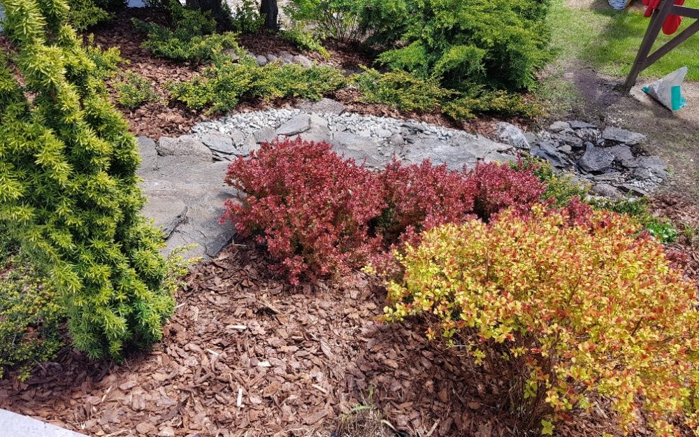 Nawodnienia, trawnik, usługi ogrodnicze, glebogryzarka separacyjna