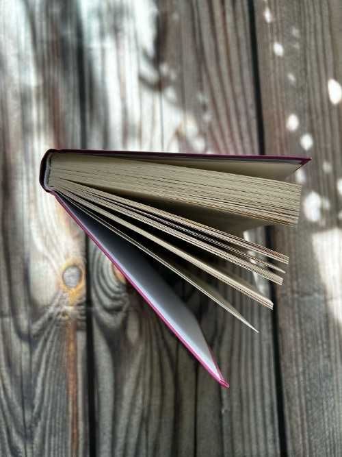 Елізабет Кей, Сім неправд