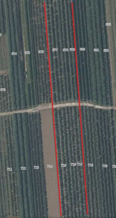 Działka rolna z sadem 2,31ha Zakrzów