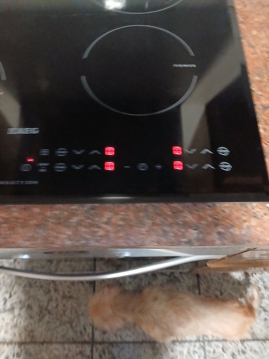 Vendo forno e placa de indução