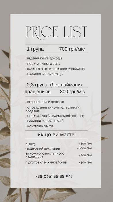 Бухгалтер ФОП, Подання квартальної, річної звітності