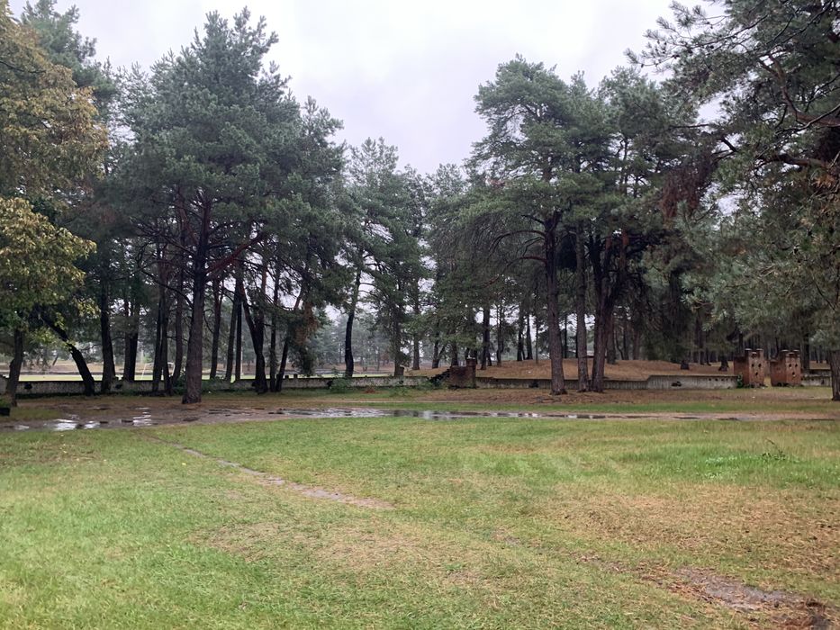 Продам будинок поруч з сосновим лісом