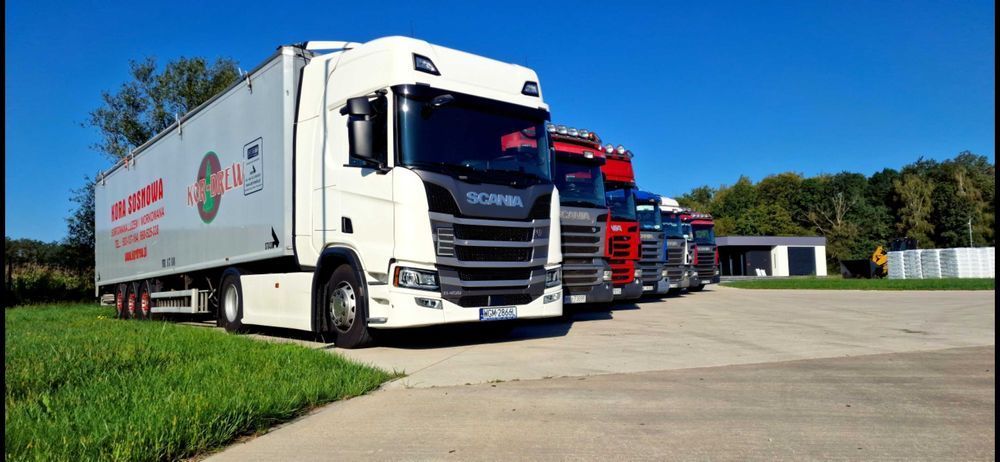 Kora sosnowa sortowana 80L Producent Dostawa Gratis cała Polska