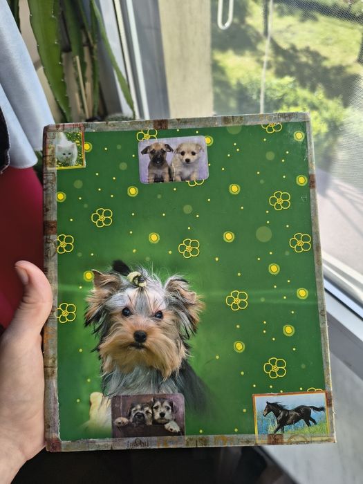 Segregator A5 z pieskiem