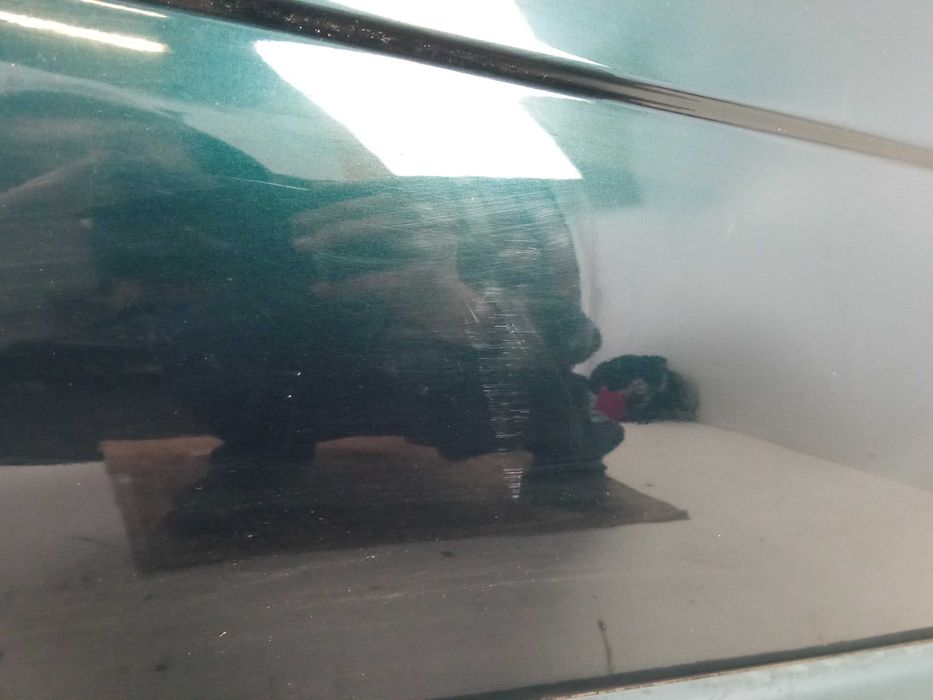 Renault Scenic RX4 Drzwi Prawy Przód Prawe Przednie Lakier NV903