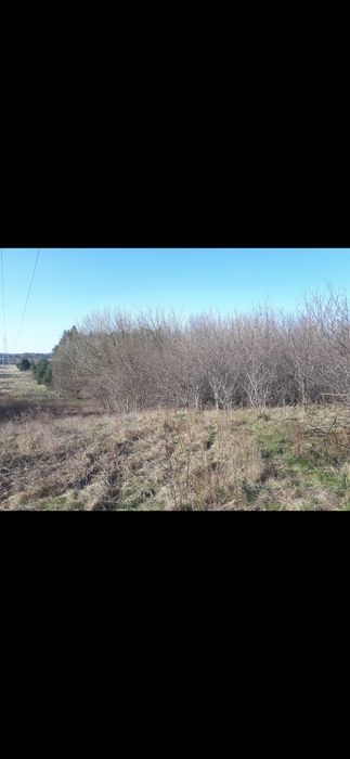 Działka rolna z lasem nad rzeką Bzurą, Sochaczew,  mazowieckie