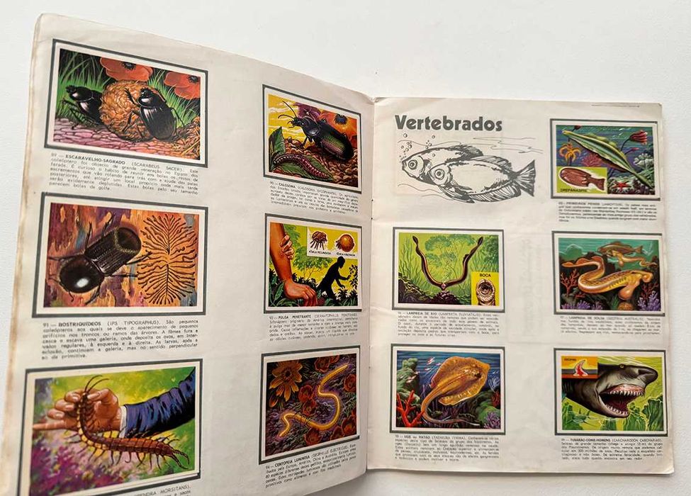 Caderneta Panorama Zoológico – 250 cromos. Completa.