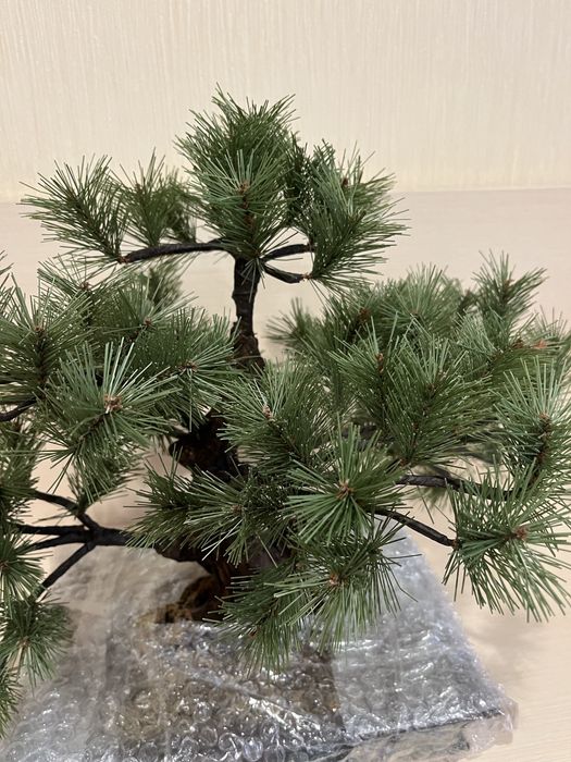 Ялинка  штучна сосна бонсай