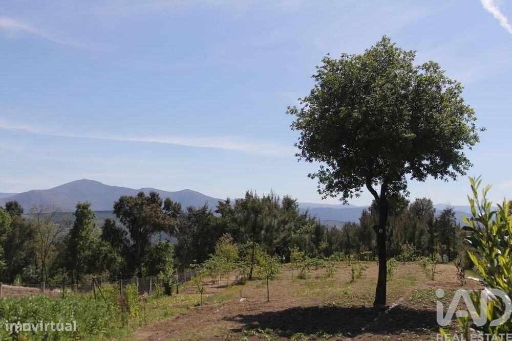 Terreno Agrícola em Oliveira do Hospital e São Paio de Gramaços