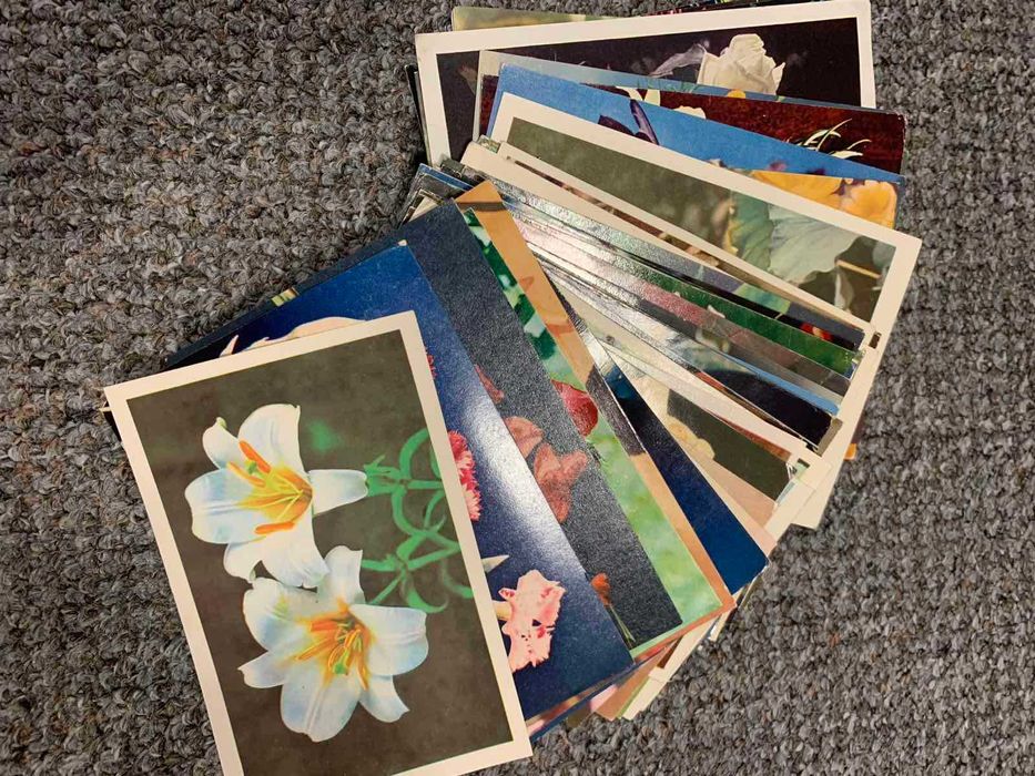 Открытки с фото цветов и другие, 50-80х гг. - новые (440 шт.)