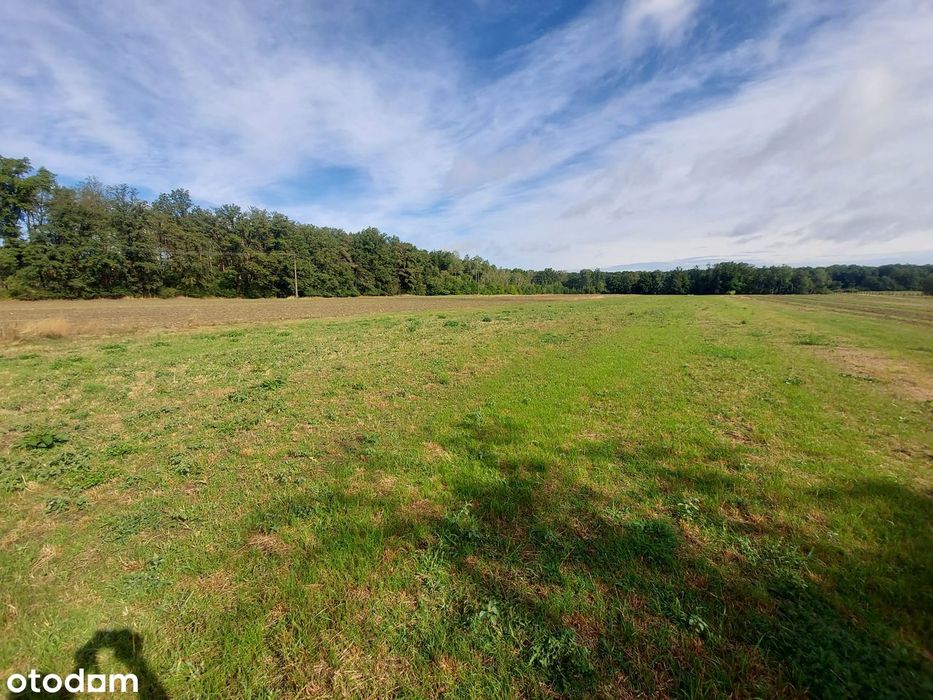 Działki budowlane 900 m² z WZ – Ciarka, blisko lasu i rzeki - Widok 5