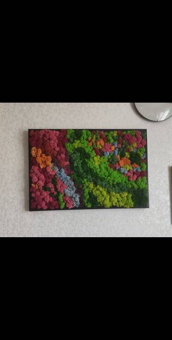 Фитокартина, стабилизированный мох