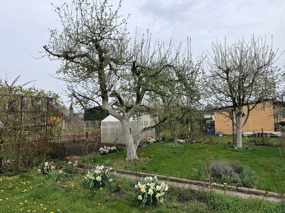 Działka rekreacyjna ogrodowa ROD „Niezapominajka” 3 ary, 300m2