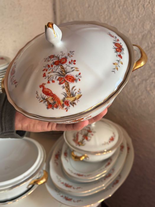 Serviço da SPAL completo