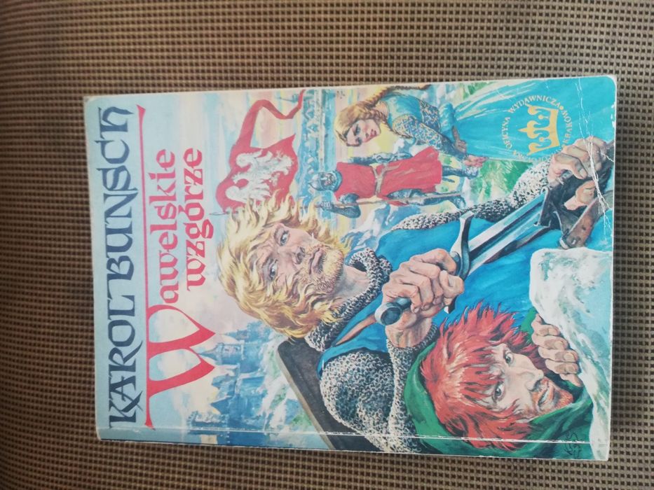 Wawelskie wzgórze. K. Bunsch