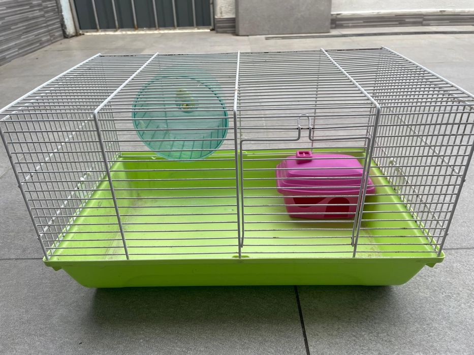 Vendo Gaiola amester