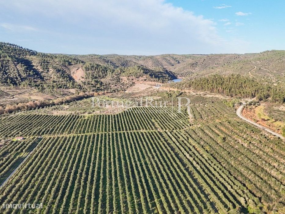 Herdade de regadio com 160 ha em Vila Velha de Ródão