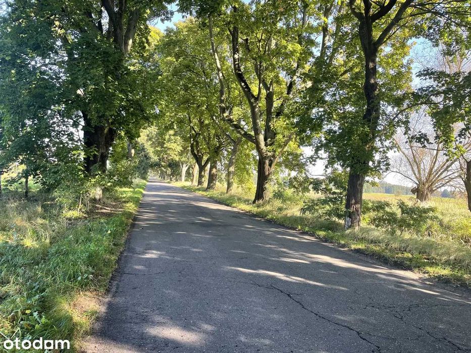 Duże działki z warunkami zab. na skraju wsi prywtanie