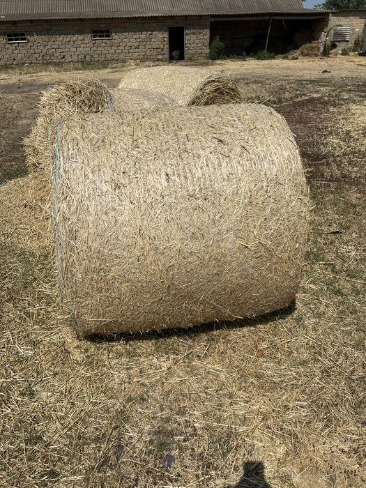 Продам круглые тюки салома