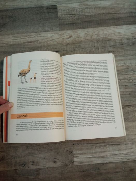 I kudłate i łaciate Maria Sołtyńska 1986