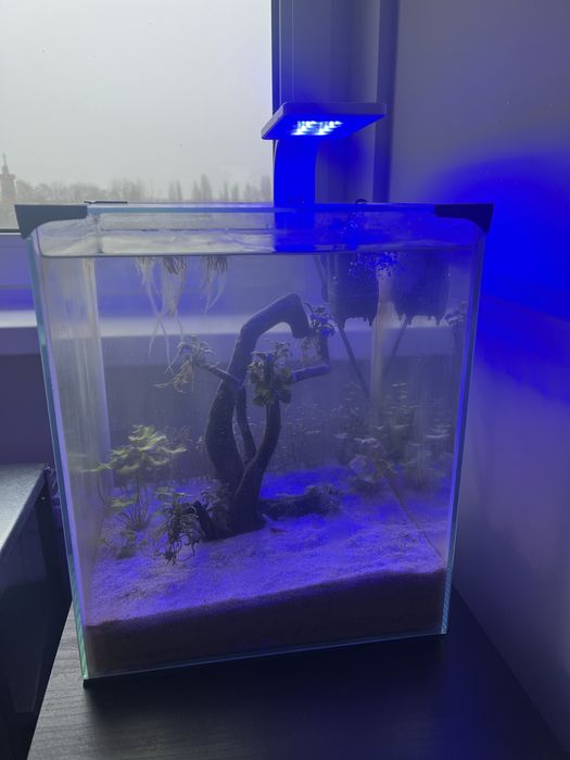 Sprzedam całe akwarium