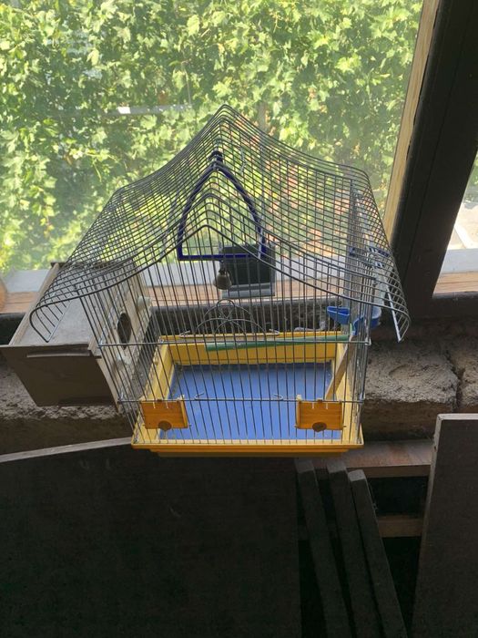 клітка для птахів