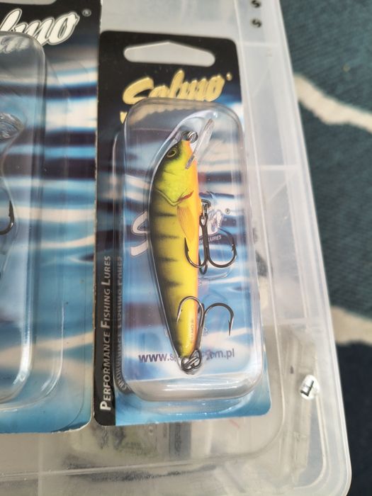 Salmo Bullhead Minnow