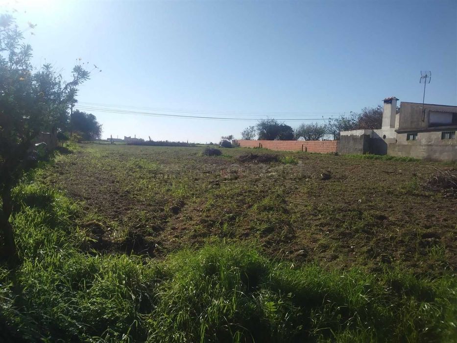 Terreno 1500 M2 - Cacia