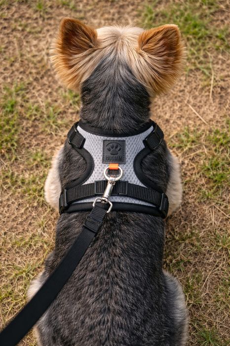 Szelki dla psa DUOMI – rozmiar S – NOWE