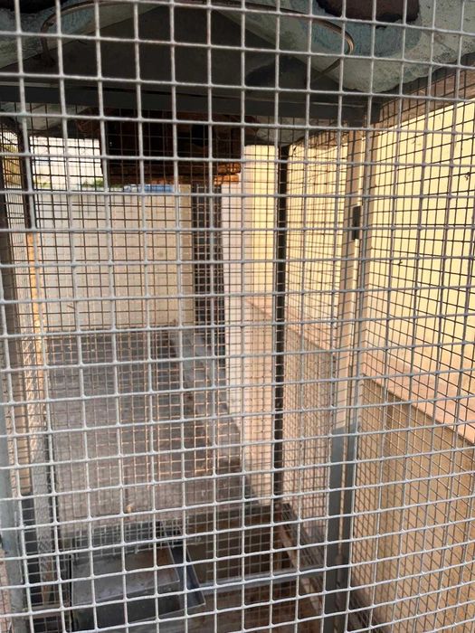 Gaiola Pássaros - INOX