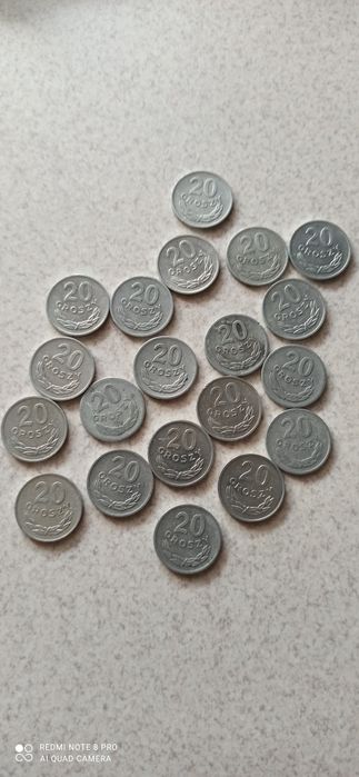 20g Monety Polskie
