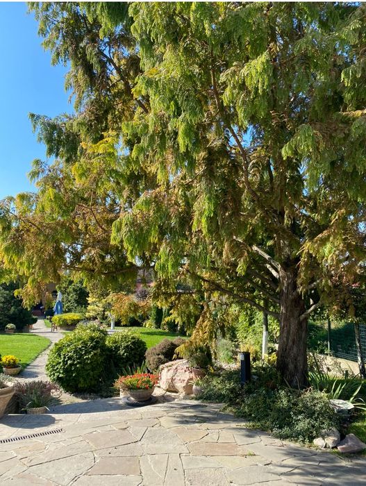 Від власника!Здається будинок 220м2генератором