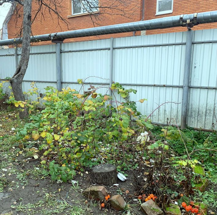 Елітний Центр. Парк Перемога/Співоче Поле. Закритий двір. Окремий вхід
