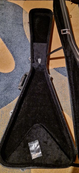 Epiphone Flying V Case