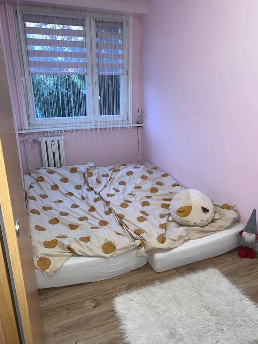 Mieszkanie 32 metry do wynajęcia