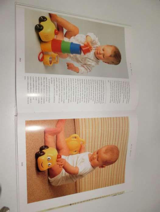 Manual completo da grávida e do bebe