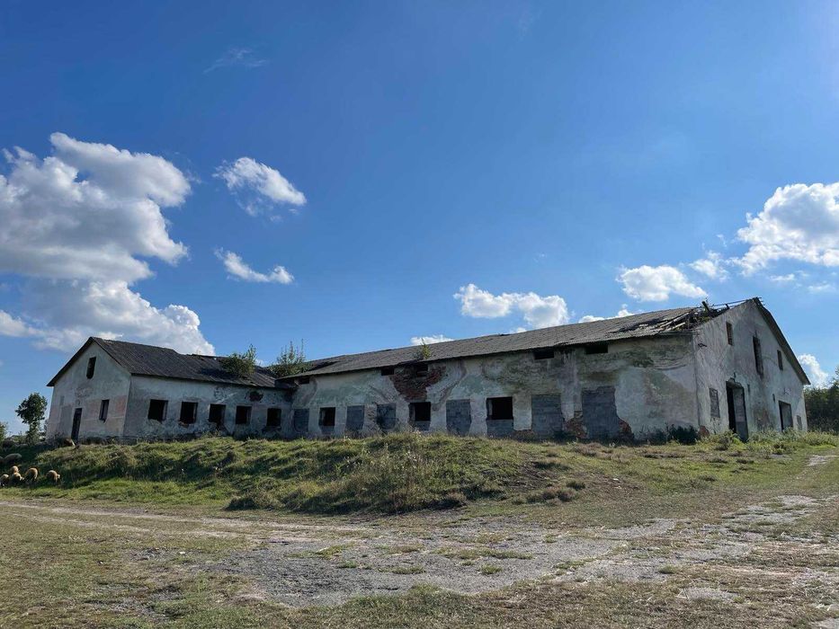 господарський двір (ферма) 3 гектара, 1700 м2 площа 2 будівель, продаж