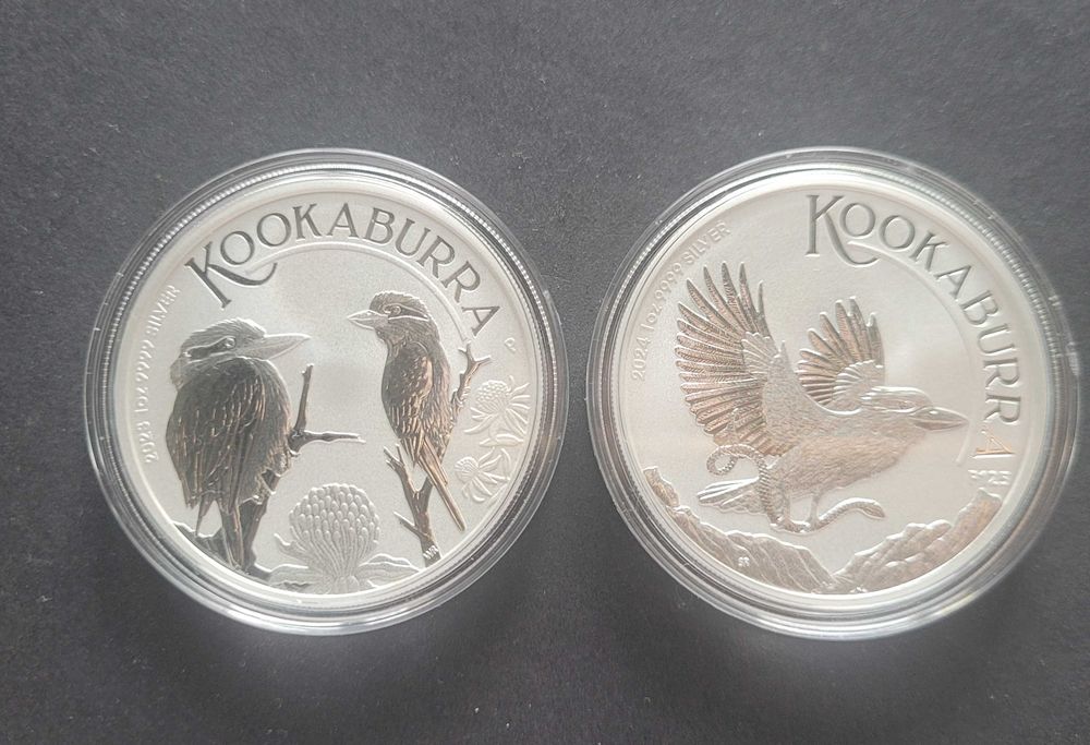 Kookabura 2023 rok