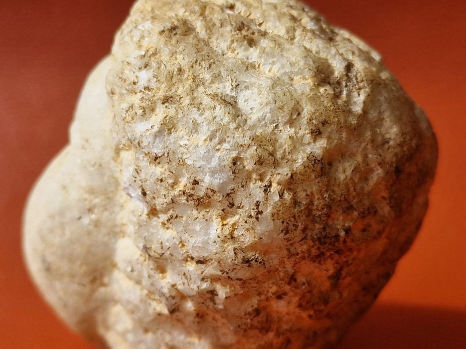 Cabeça Votiva Romana