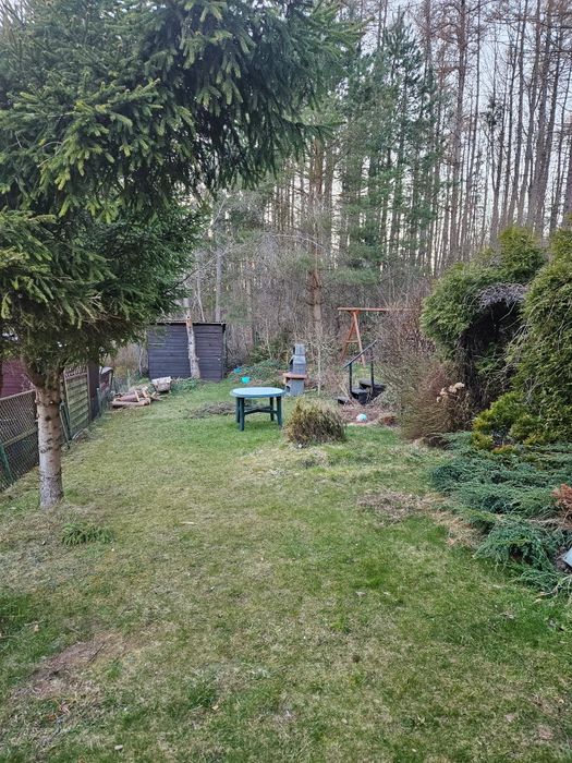 Działka ROD Warzenko/ Tuchomek blisko  jeziora 479m2 domek 60m2