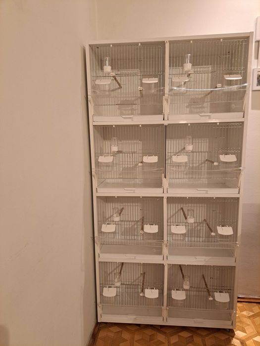 Regał dla ptaków, kanarki ,drobna egzotyka