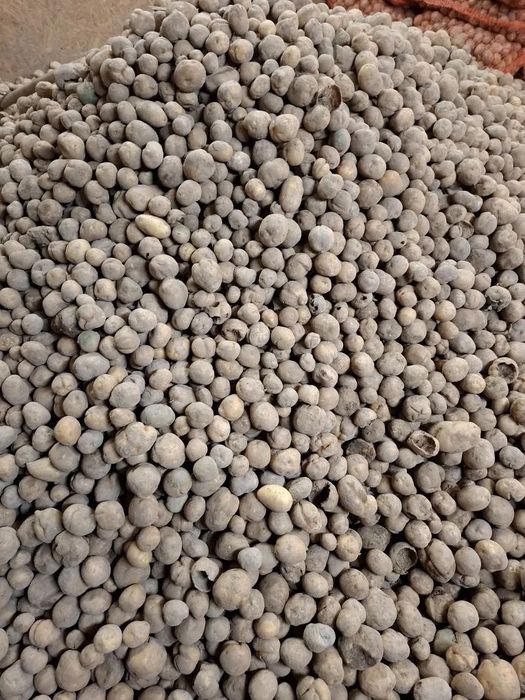 Ziemniaki odpadowe dostępna duża ilość