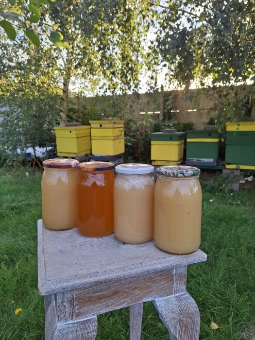 Mìód z przydomowej pasieki pod nadzorem PIW