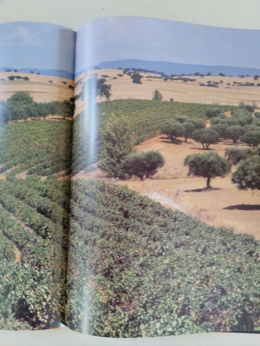 A luz da cal, Itineràrio Alentejano